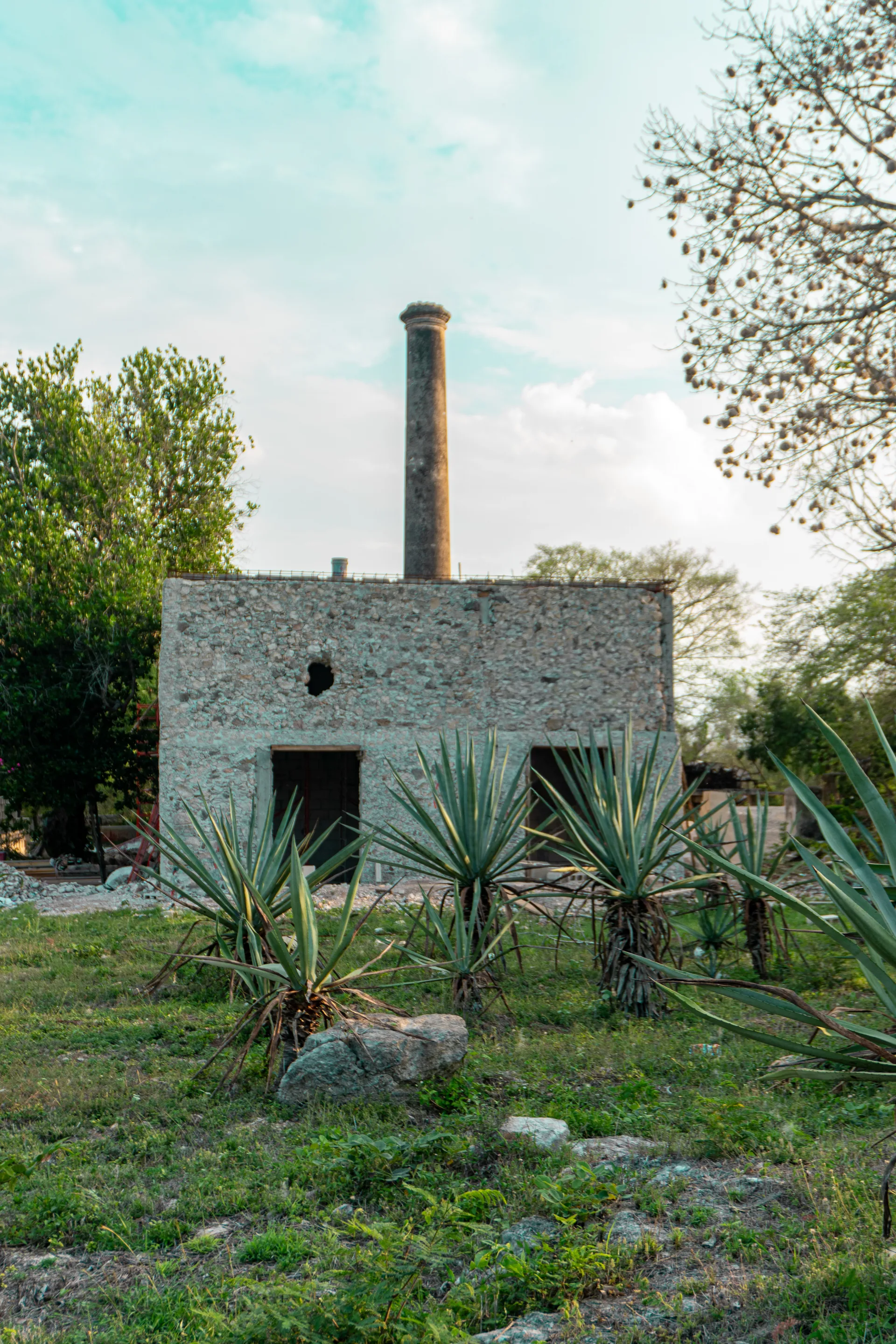 Paisaje natural y de inversión en Yucatán
